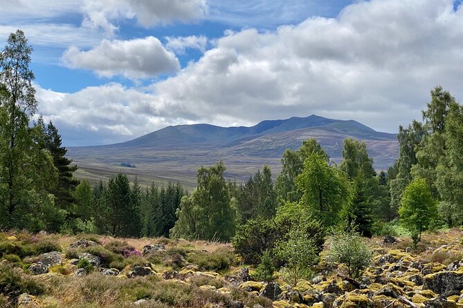 The Balmoral Cairns and Castle Guided Walk