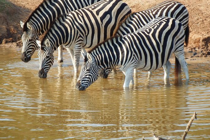 The Best 4 Days Serengeti & Ngorongoro Private Mid-range Safari