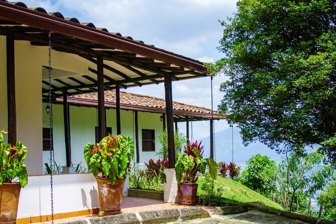The Best Half Day Coffee Farm Tour on Medellin