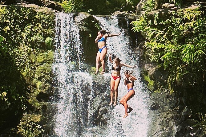 The Best Half Day of Your Life! Luxury Road to Hana Private Tour