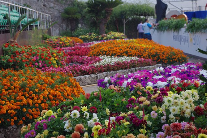 The Best of Ravello With an Expert Local Guide