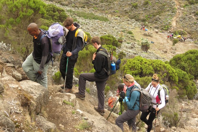 The Best & Unique Kilimanjaro Hiking Tour 7 Days Machame Route