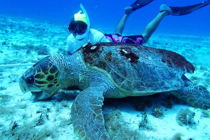 The Cielo Palancar and Columbia Snorkeling Tour