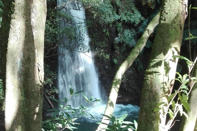 The Great Waterfalls Hiking Tour - Tour Overview