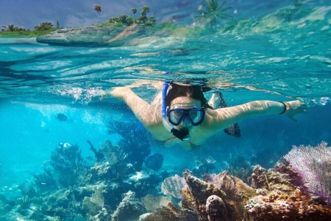 The Jewel of Muscat Sea, Daymaniyat Islands