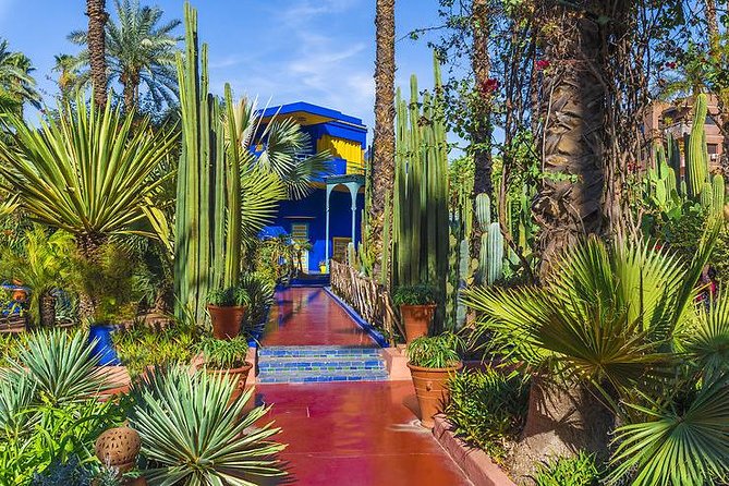 The Majorelle Garden With Ticket and the Palm Grove on Camelback - Tour Overview