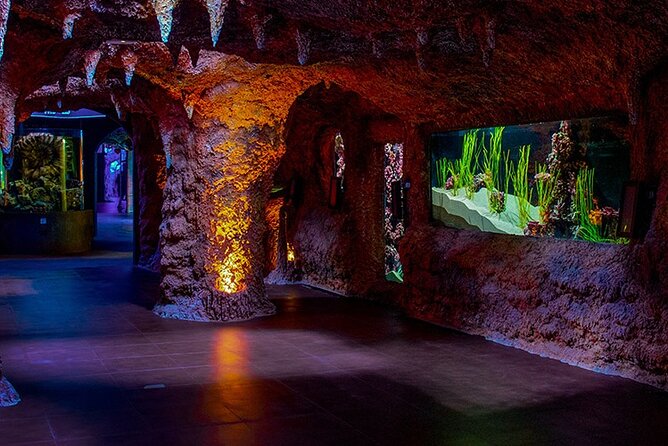 The National Aquarium Abu Dhabi Admission Tickets