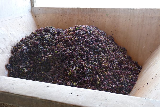 The Start WineTour for 2 People (History and Wines)