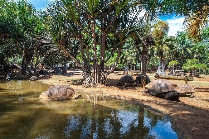 The Vanilla Nature Park