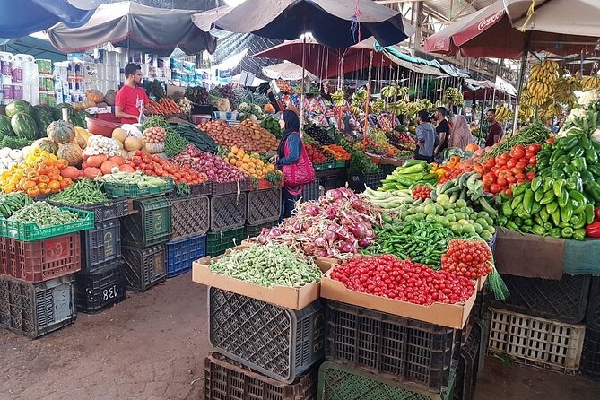 The Visit of the City of AGADIR (City Tour)
