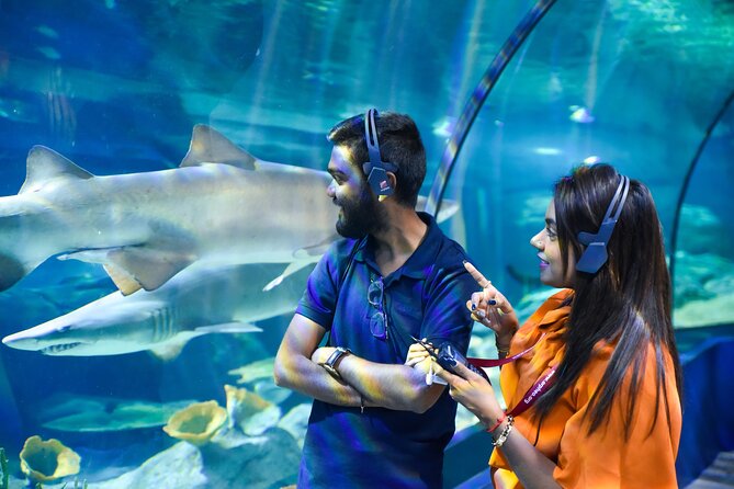 Ticket to the Largest Oceanarium of the Mascarene Islands