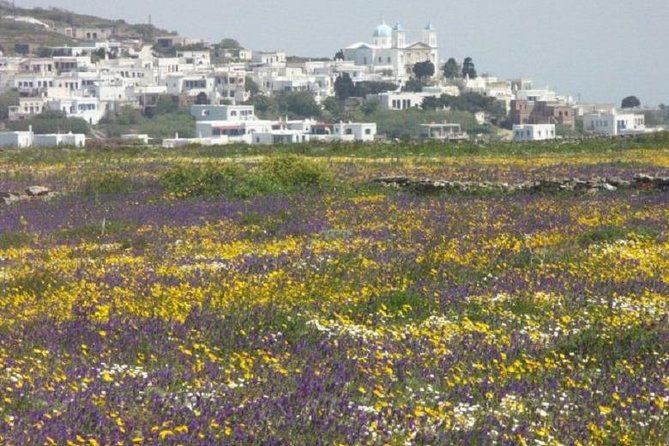 Tinos Island Tour From Mykonos