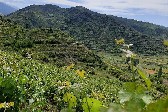 Tirana Small-Group Berat City Tour With Wine Lunch