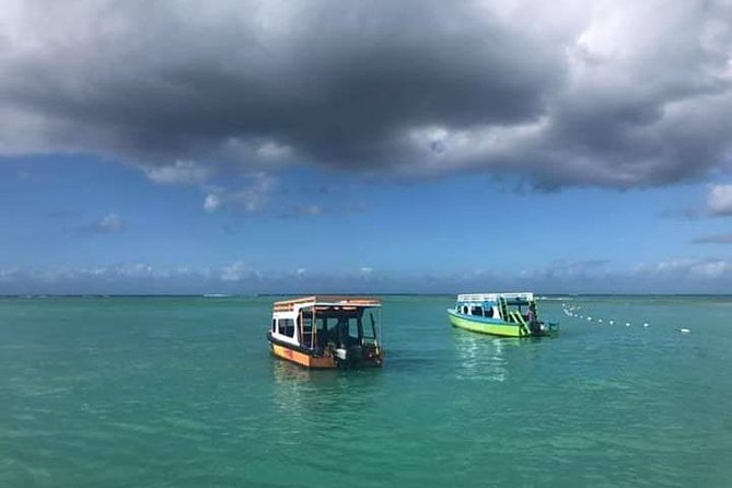 Tobago Buccoo Reef Tours