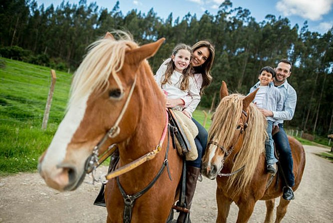 Top Packages Activities Discover Agadir and Morroco ®