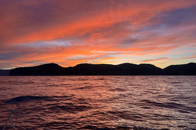 Torrevieja: Sunset Onboard Exclusive Boat + Cava