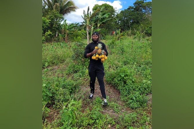 Tour a Jamaican Farm