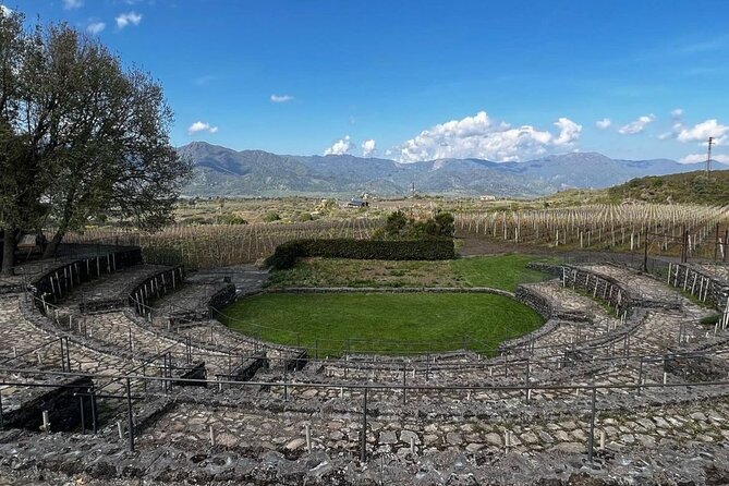 Tour and Wine Tasting at the Etna Cellars
