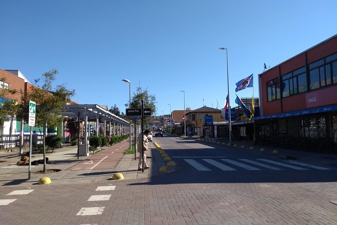 Tour Around the Coast Towns in Tomé & Dichato