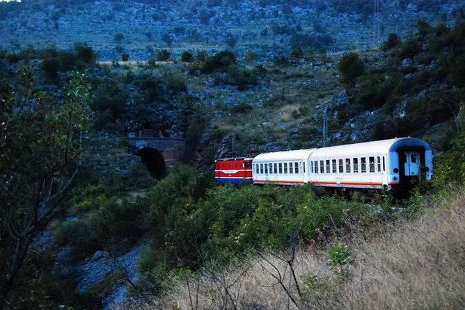 Tour by Train