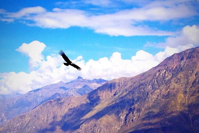 Tour Colca Canyon 2d -1n From Arequipa, Ending In Puno
