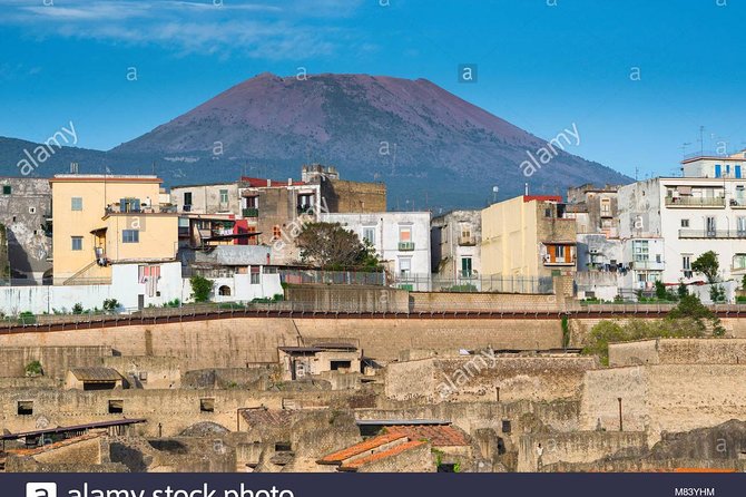 Tour Herculaneum Archaeological Park and Mount Vesuvius - Transportation and Meeting Details