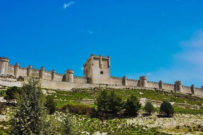 Tour in Ribera Del Duero Like a Native, With Traditional Spanish Tapas