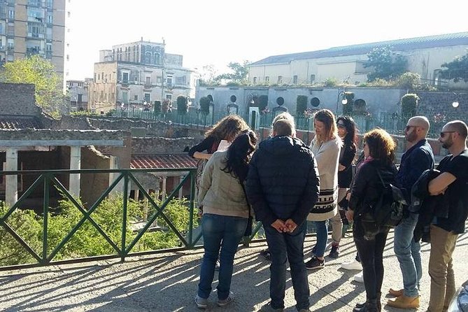 Tour in the Villa of Poppea With an Archaeologist