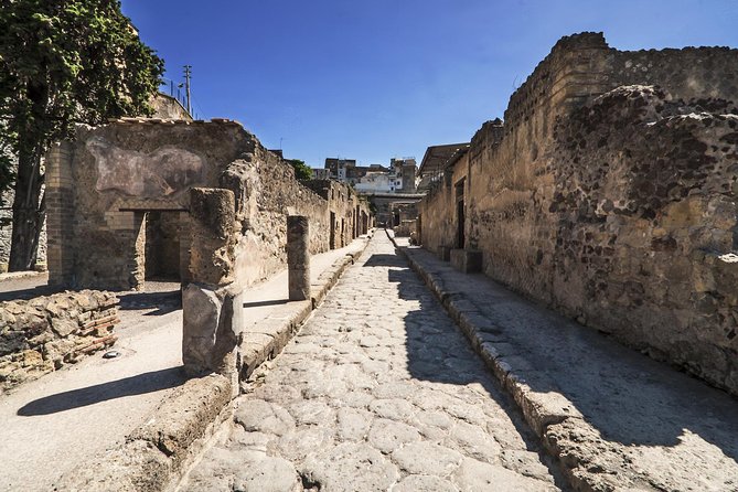 Tour of Herculaneum Skip the Line With Official Guide