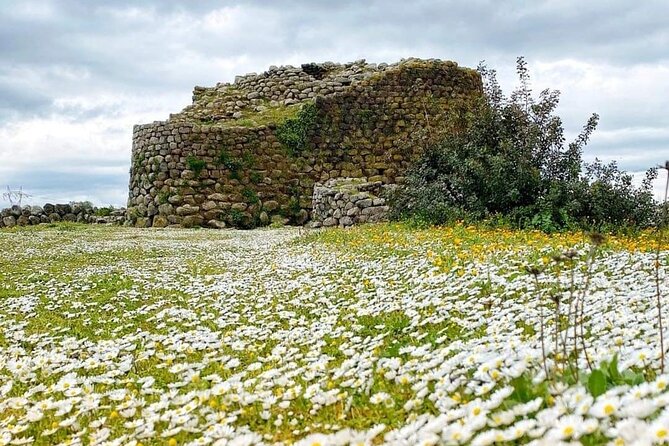 Tour of the Well of Santa Cristina and Nuraghe Losa Entrance Fees Included