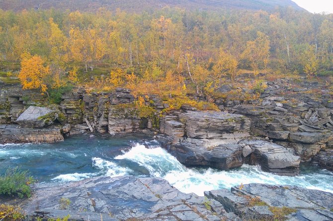 Tour to Abisko National Park