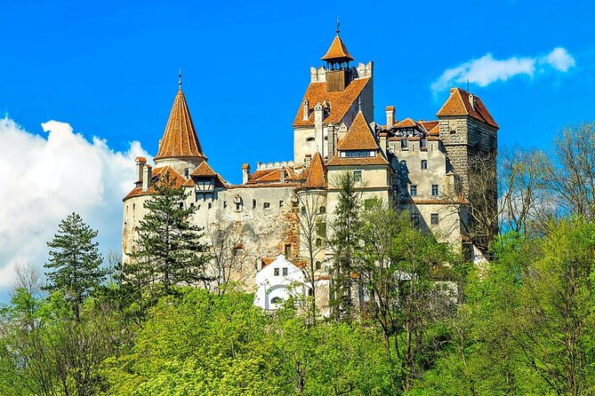 Tour to Draculas Castle Peles Castle and Brasov From Bucharest