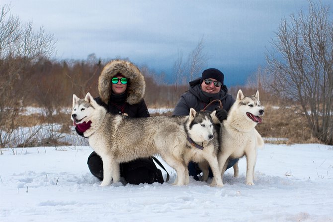 Tour to Husky Park With Cani-Cross Hike - History of Huskies