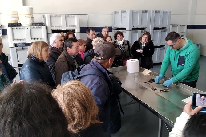 Tour to the Anchovies Factory and Santoña Marshes With Tasting