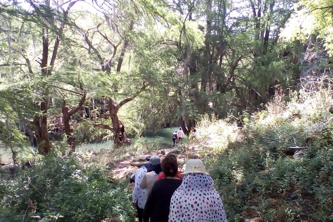 Tour Visiting the Malpais