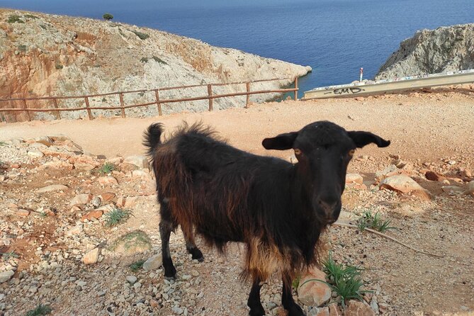 Traditional Villages of Chania Private Tour to Explore Pure Crete