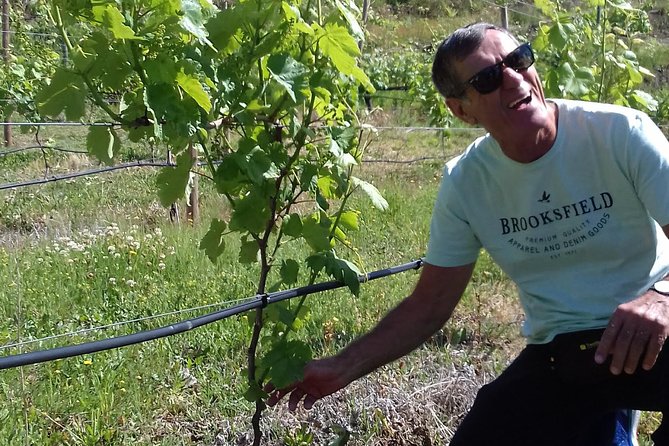 Traditional Vinho Verde Tour in Bowl With Private Transfer (Porto and Braga) - Culinary Experience