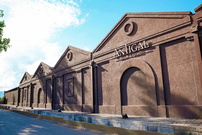 Trapiche Winery + Laur + Antigal Winery Lunch.Transfer Included
