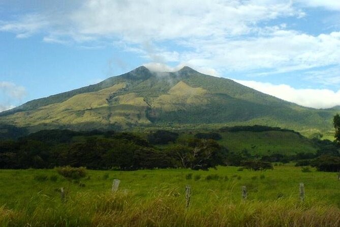Treasures of the Rain Forest