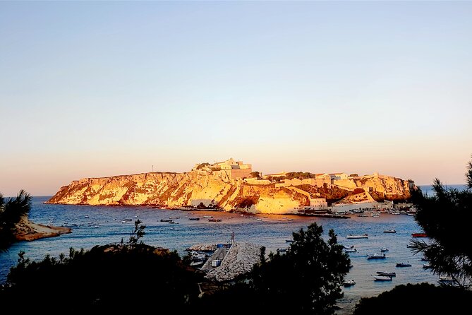 Tremiti Islands From Vieste Ferry and Boat Tour of the Islands