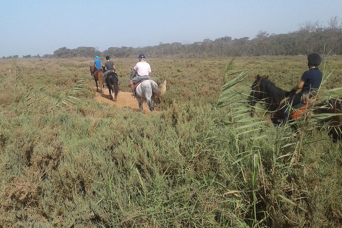 Trip 2 Hours to Natural Area of Agadir City (The Price for Both Riders)