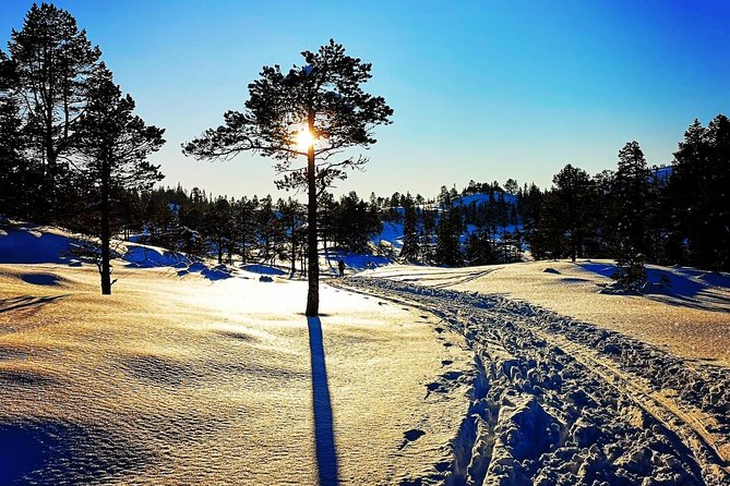 Trondheim Small-Group Cross-Country Skiing Adventure