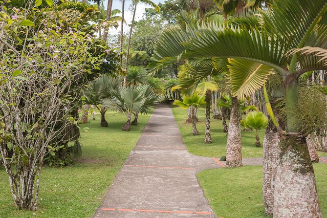 Tropical Island Private Tour of Martinique