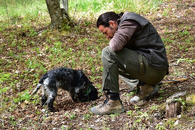 Truffle Hunt & Bio Lunch in Assisi