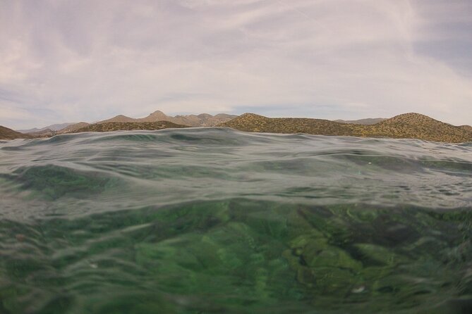 Try Snorkeling in the Sea With the Blue Dolphin Team