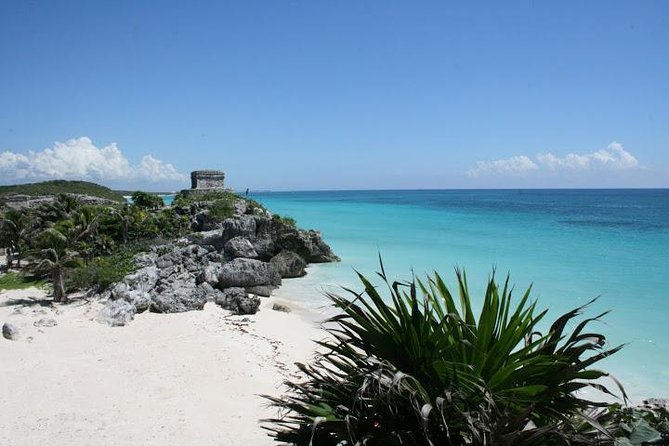 Tulum and Cenote Casa Tortuga Day Trip - Inclusions