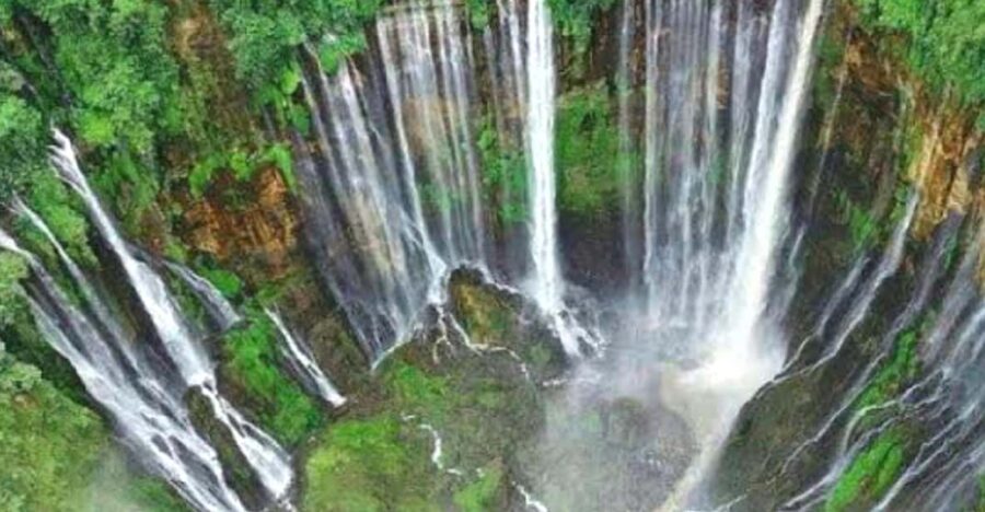 24 Best Guided Tours In Indonesia