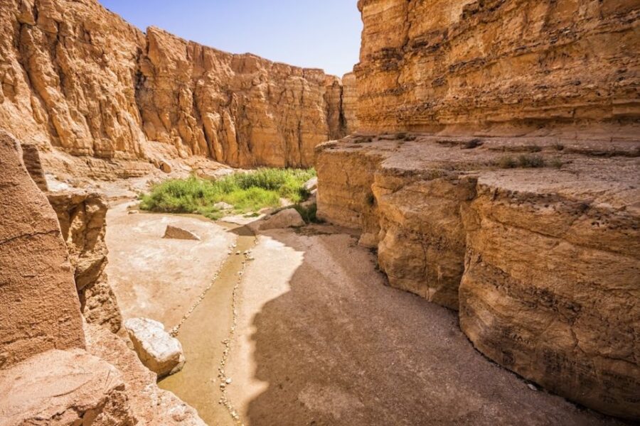 Tunisia: 5-Day Private Discovery Tour