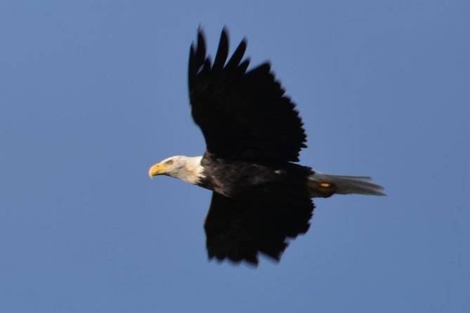 Turnagain Arm and Portage Valley Private Tour