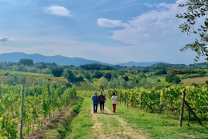 Tuscany and Wine Tasting Private Tour From Livorno